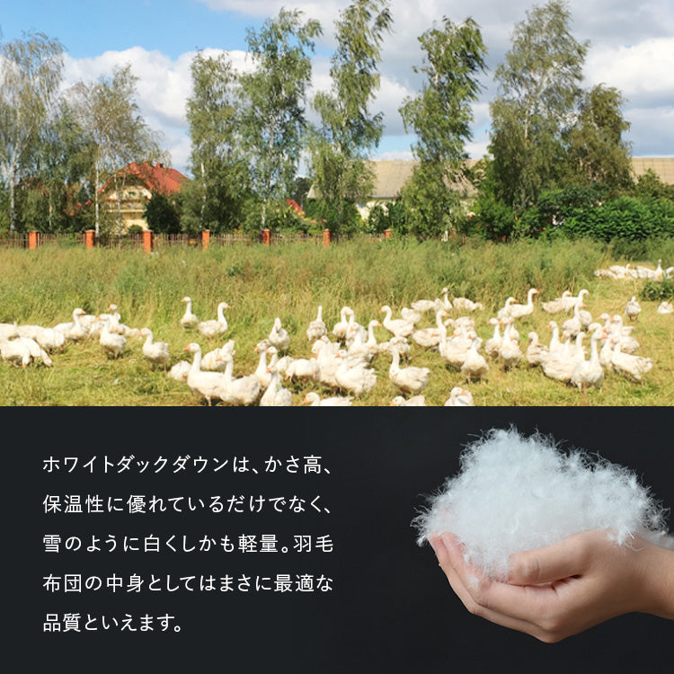 【世田谷区限定】羽毛ふとんリフォーム スタンダードコース(綿100%生地)